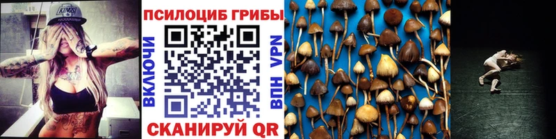 Псилоцибиновые грибы GOLDEN TEACHER купить закладку Орлов