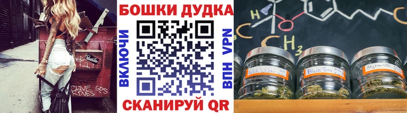 Бошки Шишки марихуана  купить  цена  Орлов 